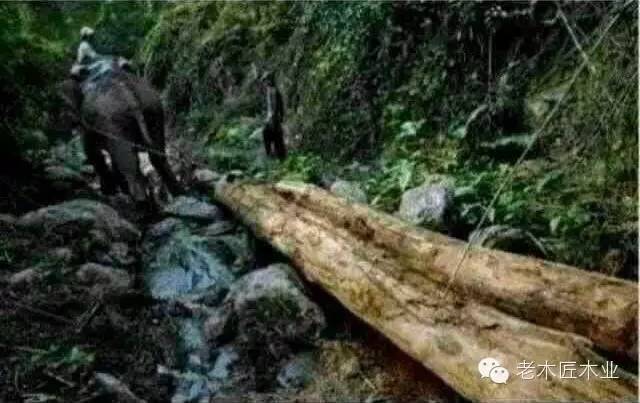 實木家具為什么這么貴