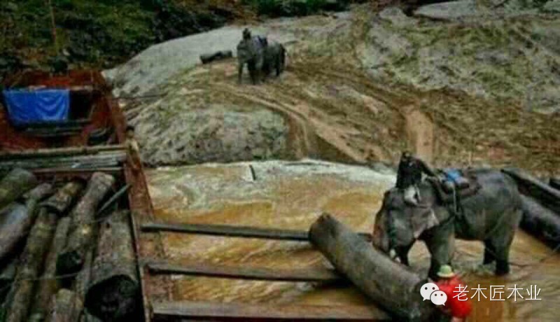 實木家具為什么這么貴