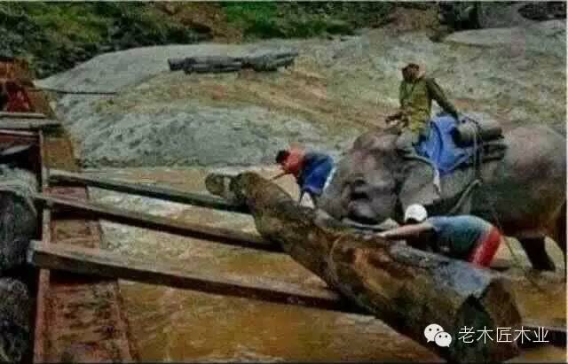 原木家具為什么這么貴