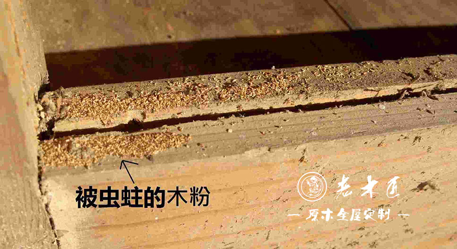 ��ľ�Ҿ����x