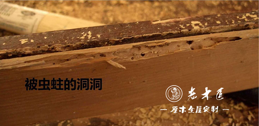 ��ľ�Ҿ����x