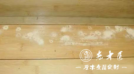 ��ľ�Ҿ����x