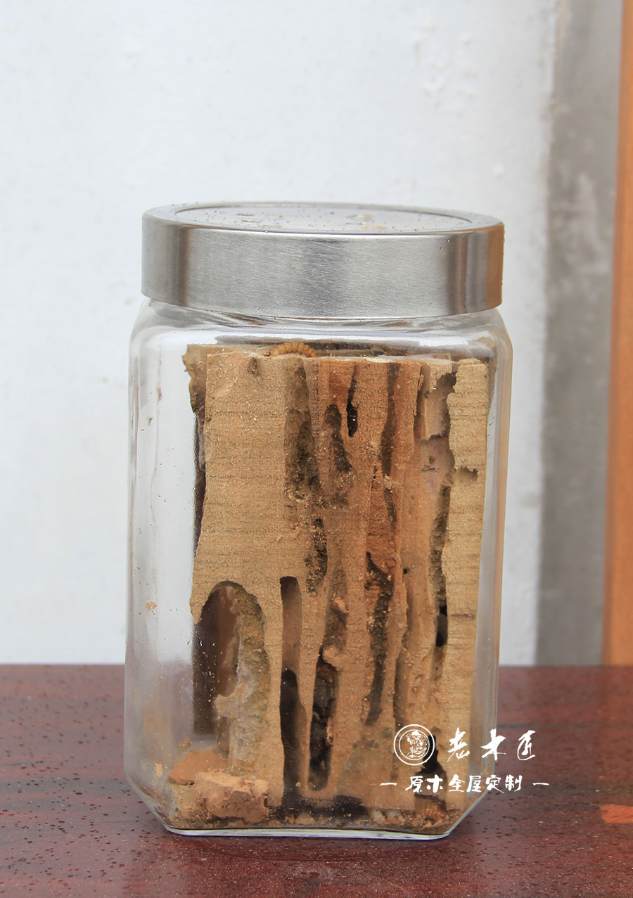 ��ľ����Ϟľ�ķ��x��Ч��