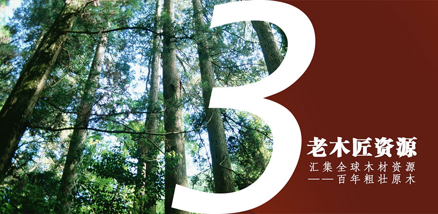 ��ľ���R��ȫ��ľ���YԴ