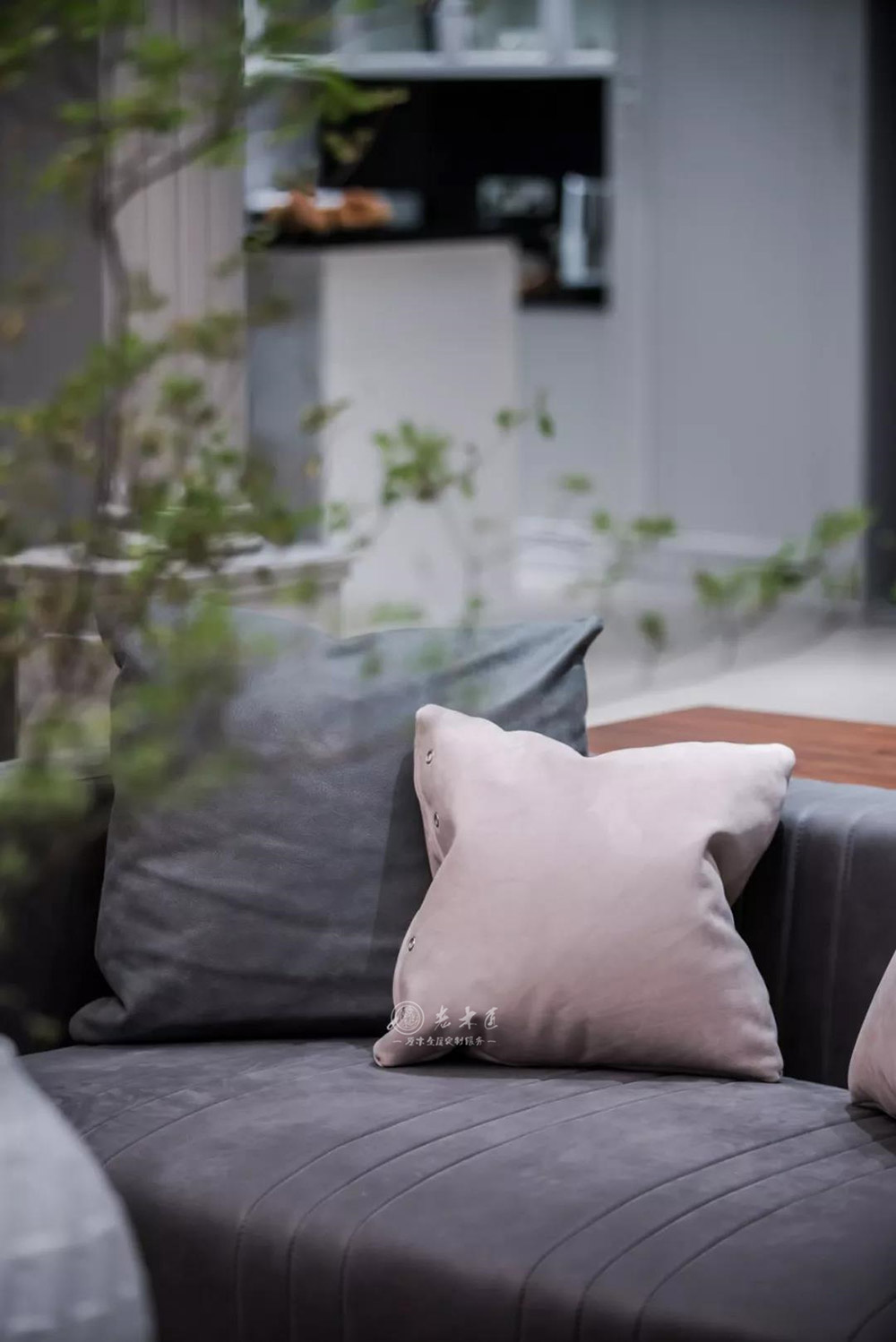 �Wʽ��ľȫ�ݶ���