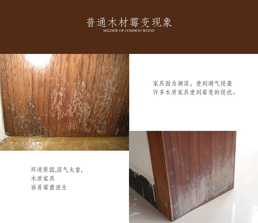 老木匠原木防霉變工藝