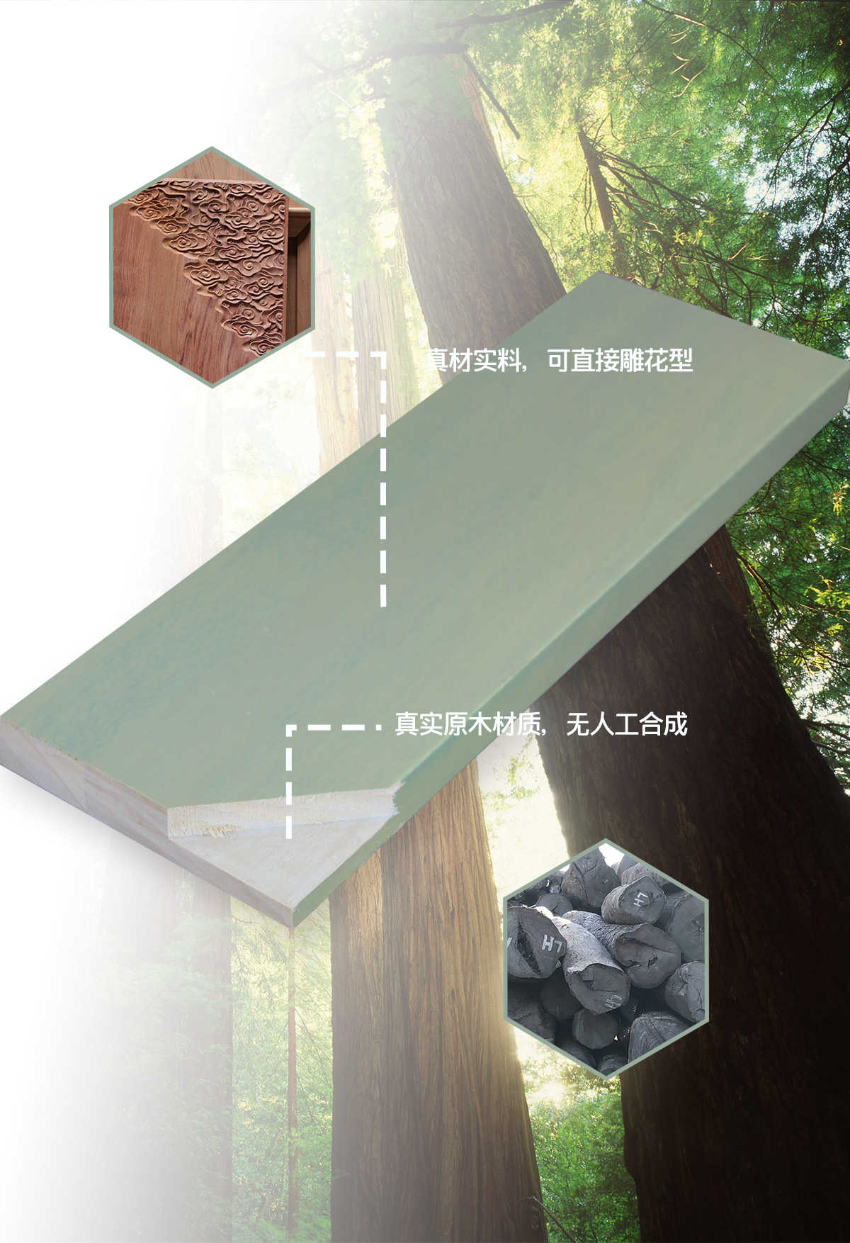 �p�ݶ��ƃ�(y��u)��